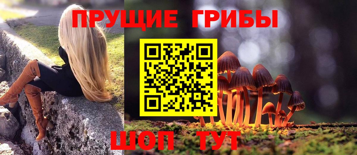 Псилоцибиновые грибы Psilocybe Бугуруслан